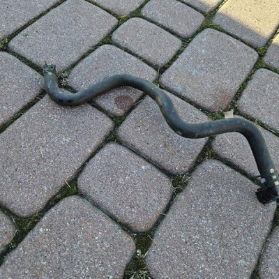 Przewód rura wąż wody chłodnicy 1.5i 1.5b Toyota Corolla E210 E21 6818807