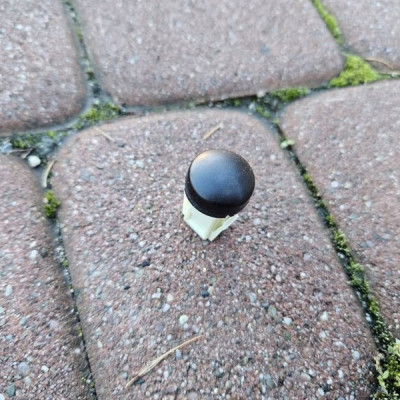 Czujnik nasłonecznienia deski słońca Toyota Corolla E210 E21 89121-30020