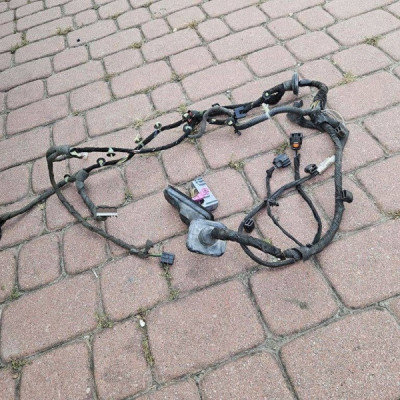 Instalacja wiązka drzwi przód przednich EUROPA Opel Insignia A 20980028