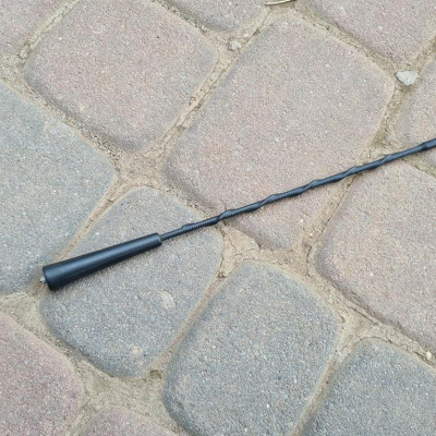 Bat antena dachowa Renault Clio IV