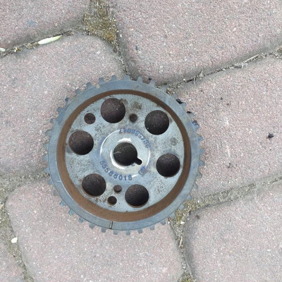 Koło zębate pompy 2.0CDTI Opel Insignia 55566016