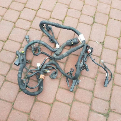 Instalacja wiązka silnika Opel Vectra C 55564919