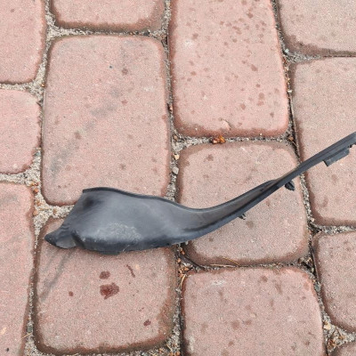 uszczelka podszybia lewe Opel Mokka 95137390