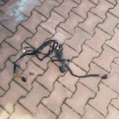 Wiązka drzwi VIVARO TRAFIC PRIMASTAR C0255012