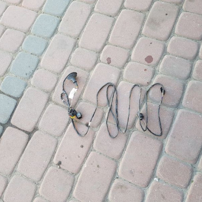 Wiązka instalacja MOVANO MASTER 241576260R