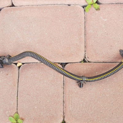 Wtyczka kostka wiązka Insignia Astra Zafira C 746