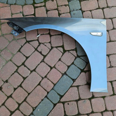 Błotnik przód przedni IGŁA z10b Opel Insignia B