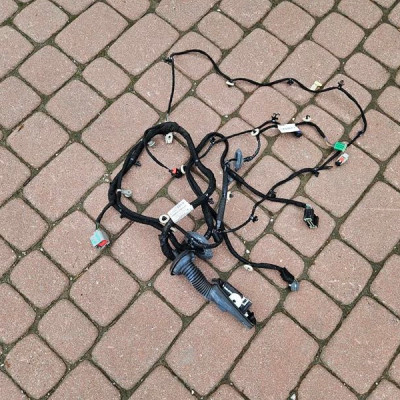 Instalacja wiązka drzwi przód przednia Opel Insignia B 39204396