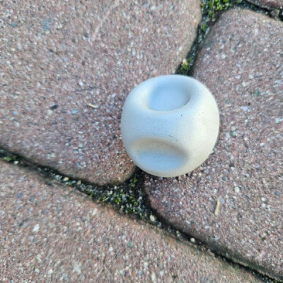 Uchwyt mocowanie regulacji pasa Vivaro B Trafic III 34153805