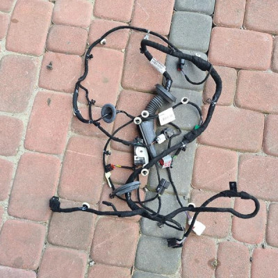 Instalacja wiązka drzwi Opel Insignia B 39204403