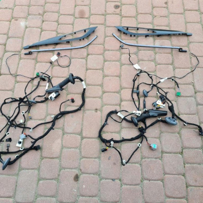 Oświetlenie AMBIENTE drzwi przód Opel Insignia B