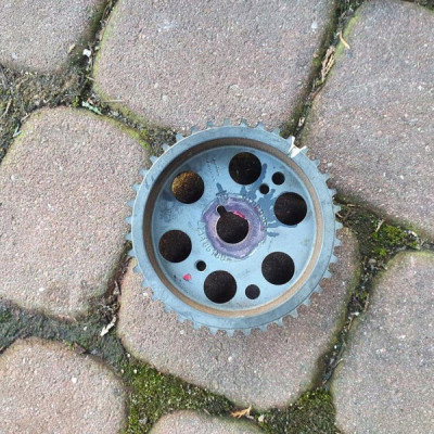 Koło rozrządu paska Opel Insignia 55566018