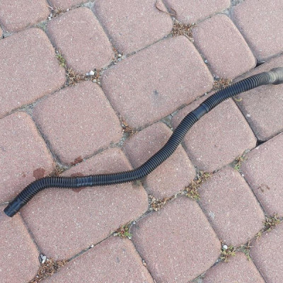 Przewód odpływ wody filtra Vivaro B Trafic III