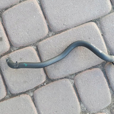 Przewód wąż wody 1.6T Opel Astra K V 39016363