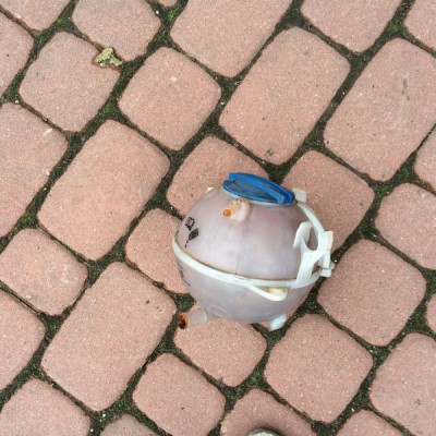 Zbiorniczek wyrównawczy Audi A3 8p0 S3