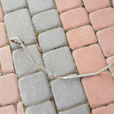 Turbosprężarka przewód wąż Opel Vectra C OPC 2.8T