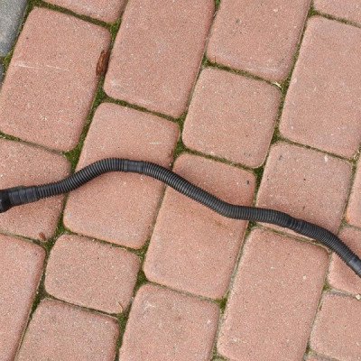 Przewód odbływ z filtra powie Vivaro B Trafic III