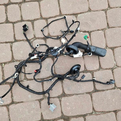 Instalacja wiązka drzwi przód przednia Opel Insignia B 39110854