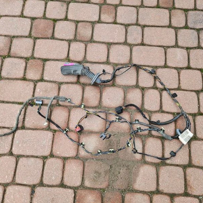 Instalacja wiązka drzwi EUROPA Opel Insignia 13312587