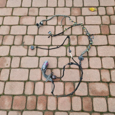 Instalacja wiązka drzwi EUROPA Opel Insignia 13264926