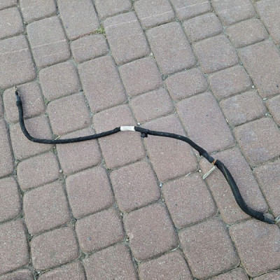 Instalacja wiązka silnika alternatora 2.0T Opel Insignia B 39135071