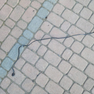 Przewód podciśnienia rura wąż PROACE CITY Berlingo Rifter Combo 9676650780