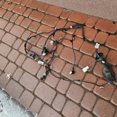 Instalacja wiązka drzwi przód przednia lewy Opel Insignia B 39133569