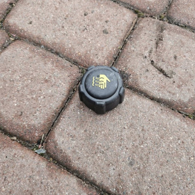 Zakrętka zbiorniczka wyrównawczego płynu chłodzącego Renault ZOE II