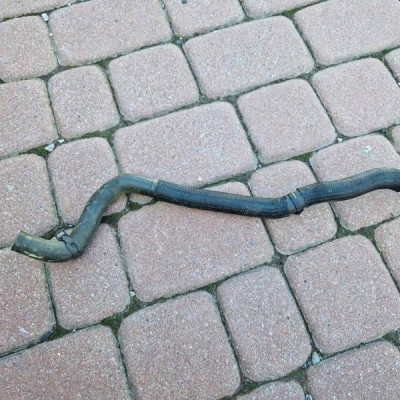 Wąż wody przewód 0.9TCE Renault Clio IV 213072100R